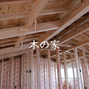R+house静岡清水・富士で建てる木の家